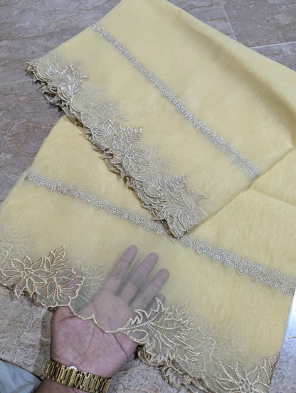 High Quality Polyester Coloured Organza Dupatta – Multiple Colours | Badar and Sons