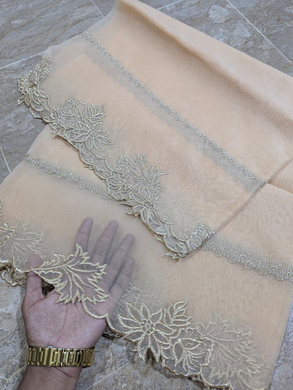 High Quality Polyester Coloured Organza Dupatta – Multiple Colours | Badar and Sons