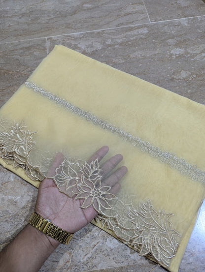 High Quality Polyester Coloured Organza Dupatta – Multiple Colours | Badar and Sons