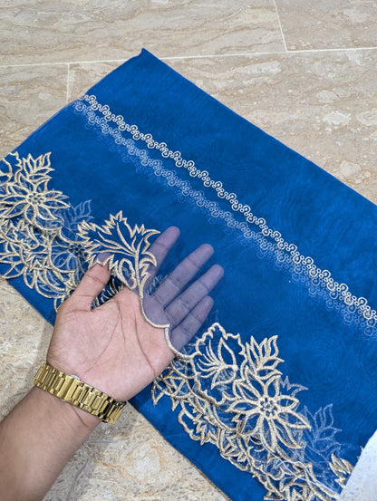 High Quality Polyester Coloured Organza Dupatta – Multiple Colours | Badar and Sons